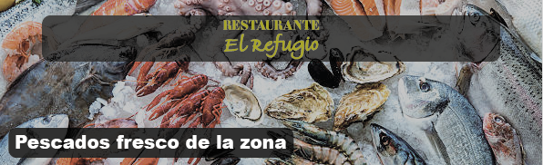 carta refugio buena español-03